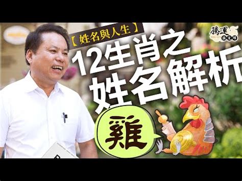 屬雞 姓名|【生肖姓名學】生肖屬雞喜忌用字－歹命人自救會：「補八字六派。